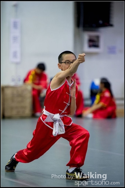 2017-04-16 Wushu 0008