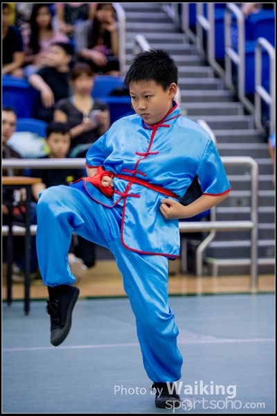 2017-04-16 Wushu 0011