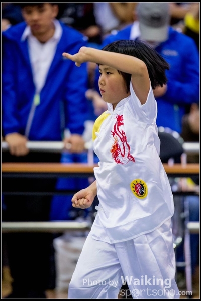 2017-04-16 Wushu 0013