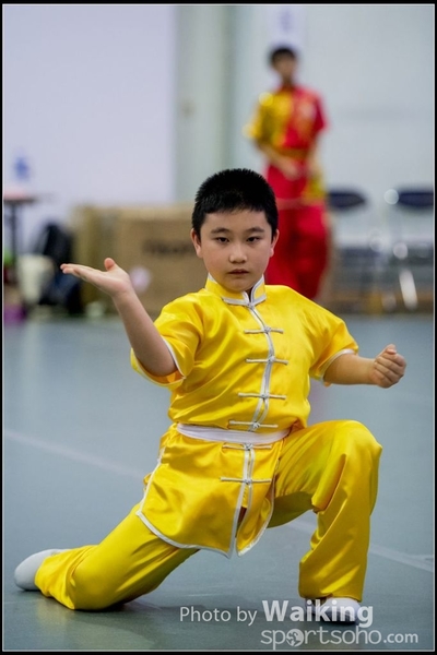 2017-04-16 Wushu 0014