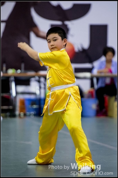 2017-04-16 Wushu 0015