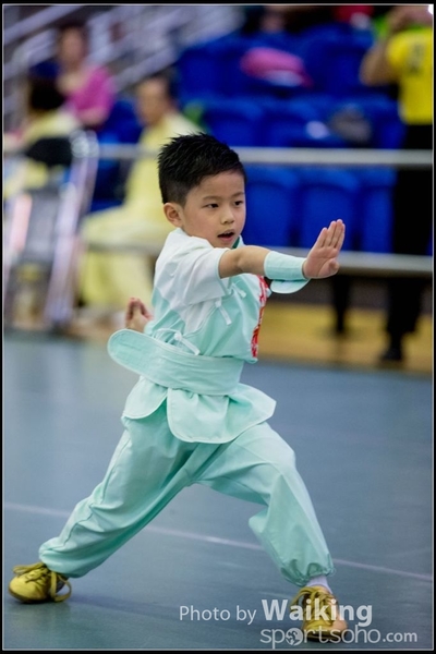 2017-04-16 Wushu 0019