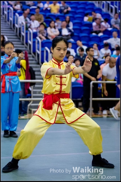 2017-04-16 Wushu 0022