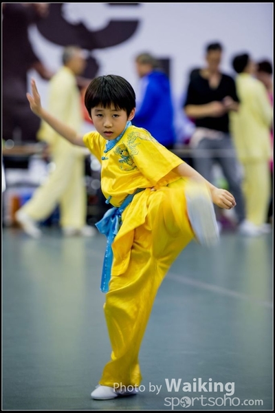 2017-04-16 Wushu 0024