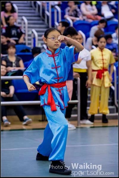 2017-04-16 Wushu 0025