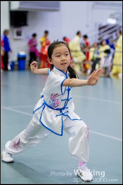 2017-04-16 Wushu 0027