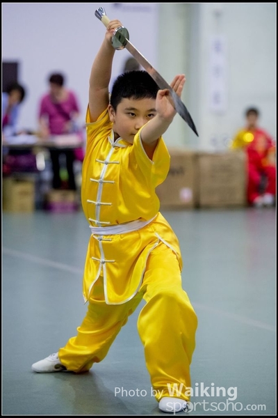 2017-04-16 Wushu 0031