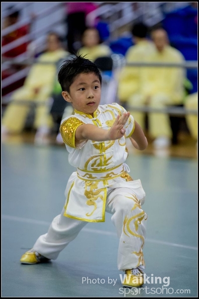 2017-04-16 Wushu 0051