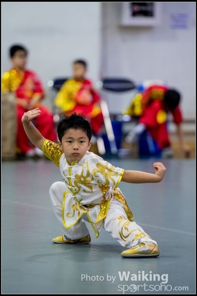 2017-04-16 Wushu 0052