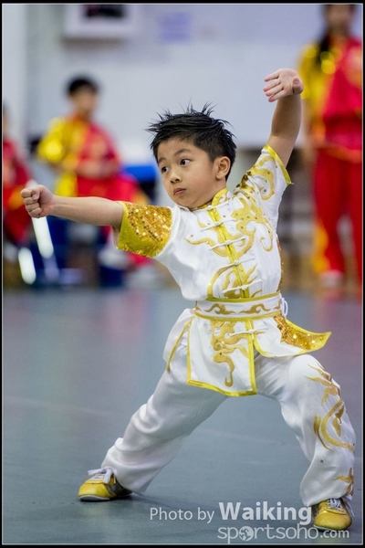2017-04-16 Wushu 0054
