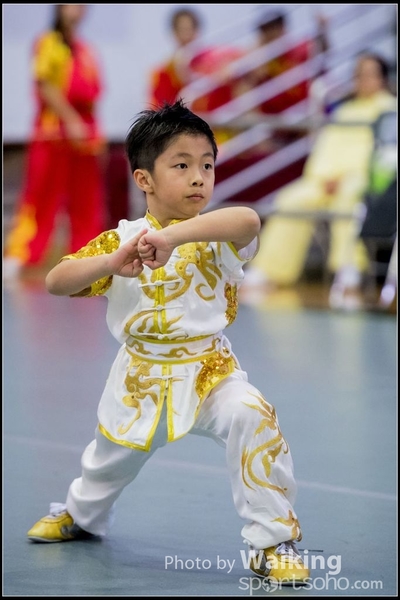 2017-04-16 Wushu 0055