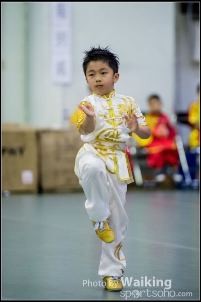 2017-04-16 Wushu 0056