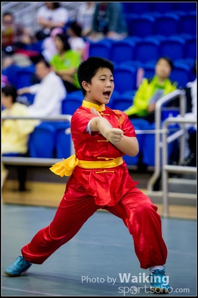2017-04-16 Wushu 0058