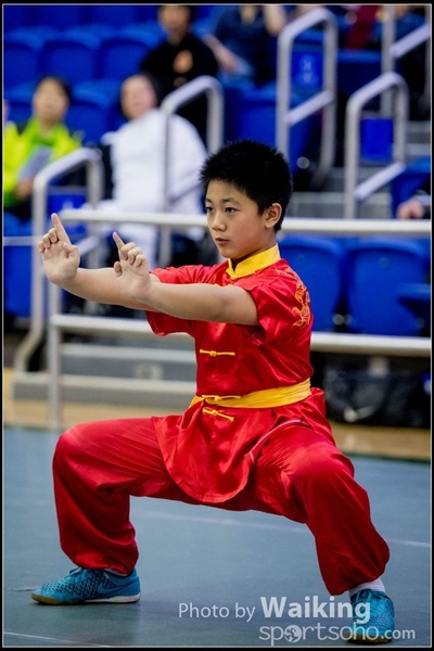 2017-04-16 Wushu 0059