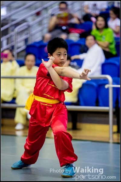 2017-04-16 Wushu 0061