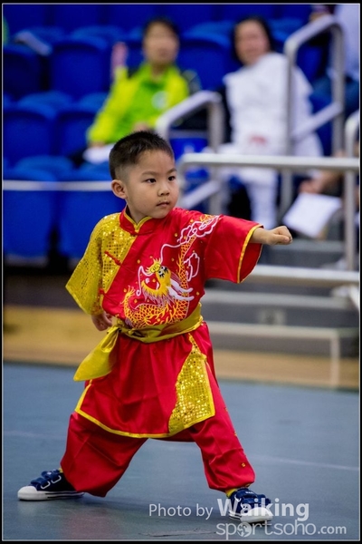 2017-04-16 Wushu 0068