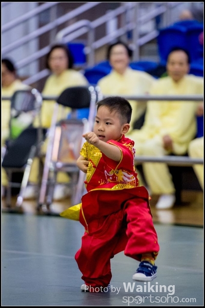 2017-04-16 Wushu 0069