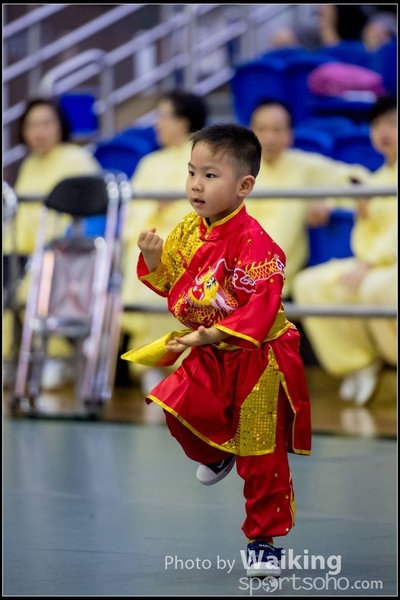 2017-04-16 Wushu 0070