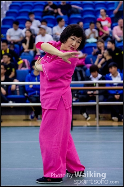 2017-04-16 Wushu 0071