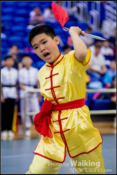 2017-04-16 Wushu 0079