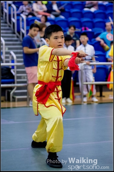2017-04-16 Wushu 0080