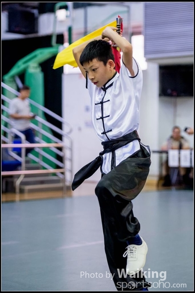 2017-04-16 Wushu 0093