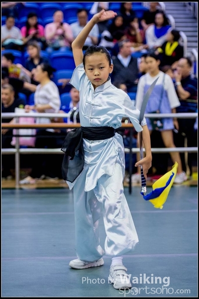 2017-04-16 Wushu 0099