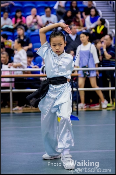 2017-04-16 Wushu 0100
