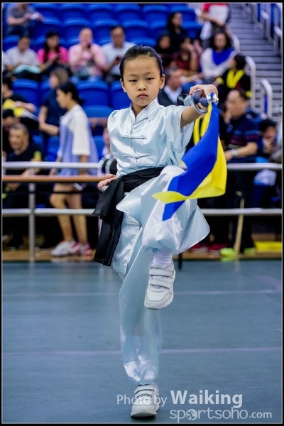 2017-04-16 Wushu 0101
