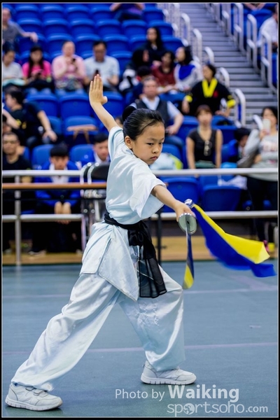 2017-04-16 Wushu 0103