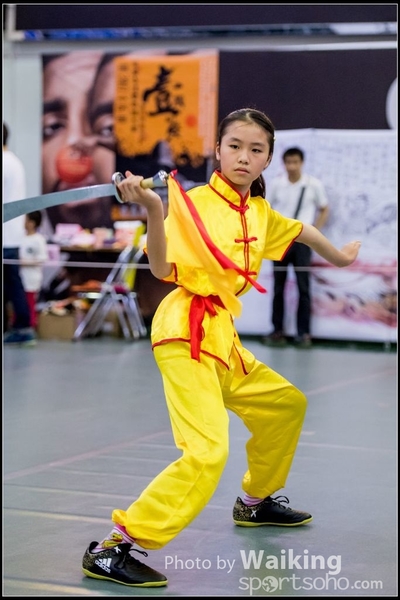 2017-04-16 Wushu 0108