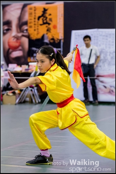 2017-04-16 Wushu 0110
