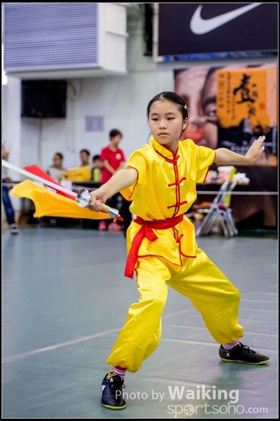 2017-04-16 Wushu 0112
