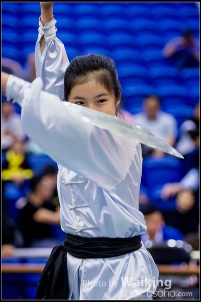 2017-04-16 Wushu 0116
