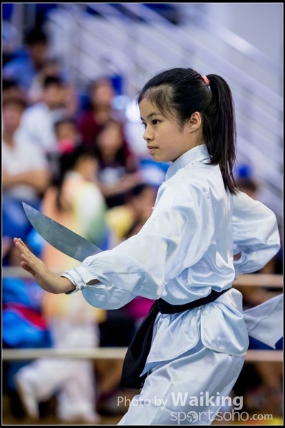 2017-04-16 Wushu 0120