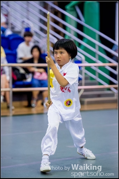 2017-04-16 Wushu 0122