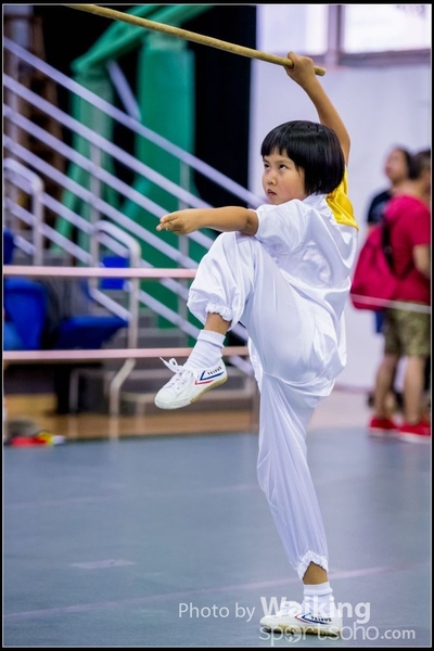 2017-04-16 Wushu 0124