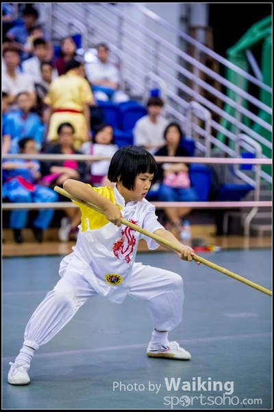 2017-04-16 Wushu 0125