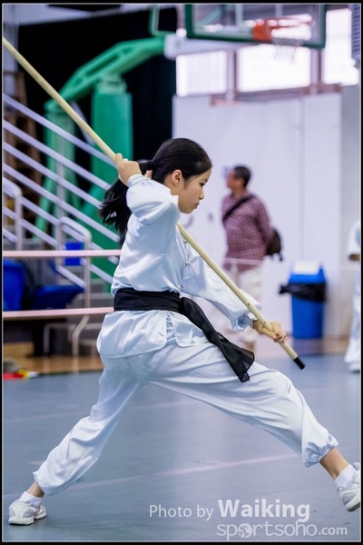 2017-04-16 Wushu 0131