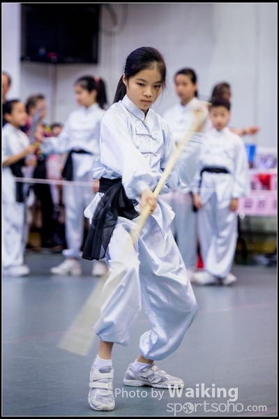 2017-04-16 Wushu 0138