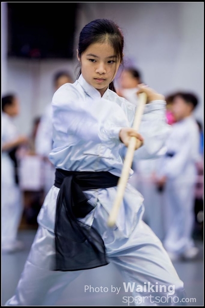 2017-04-16 Wushu 0139