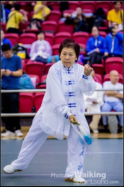 2017-04-16 Wushu 0167