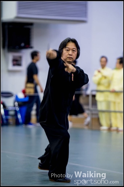 2017-04-16 Wushu 0174