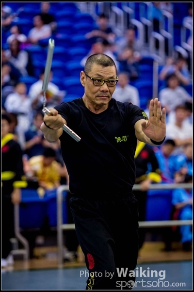 2017-04-16 Wushu 0180