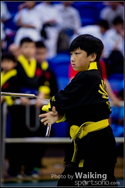 2017-04-16 Wushu 0226
