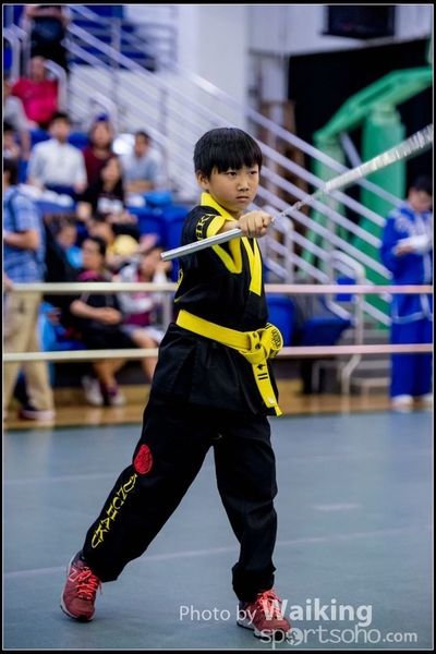 2017-04-16 Wushu 0230