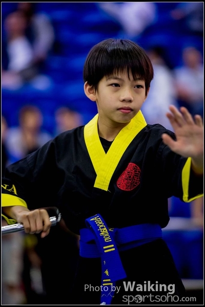 2017-04-16 Wushu 0239