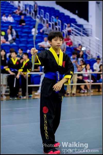 2017-04-16 Wushu 0241