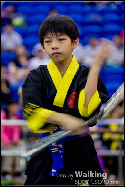 2017-04-16 Wushu 0244
