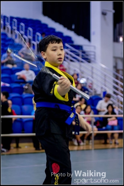 2017-04-16 Wushu 0248